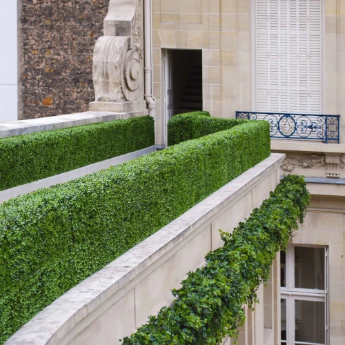 Setos y topiarios en un edificio