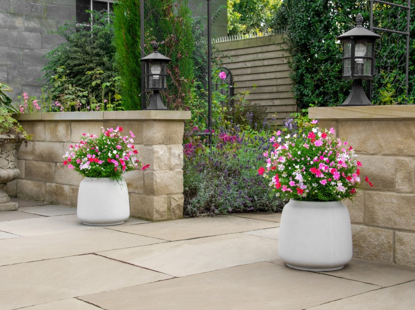 plantas de exterior resistentes a los rayos UV