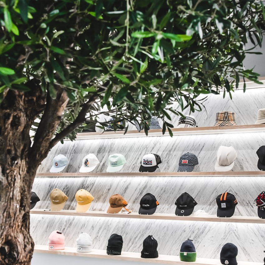 artificial olive tree in a shop