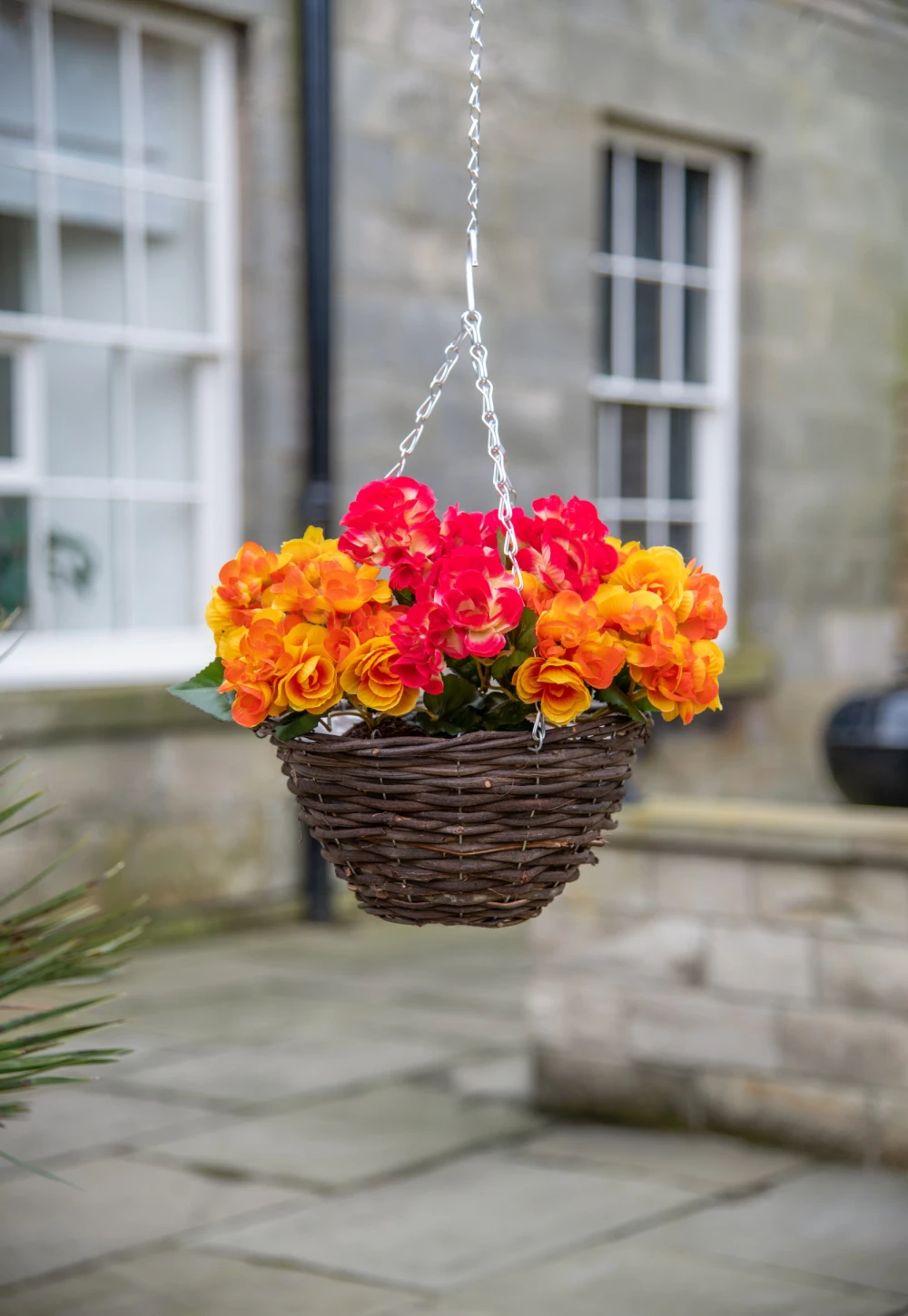 orange begonia hanging basket