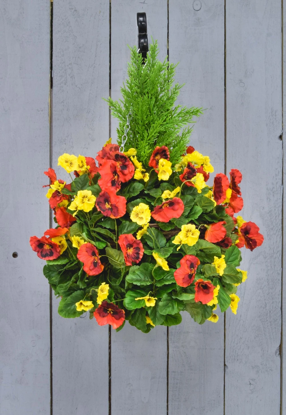 red and yellow pansy