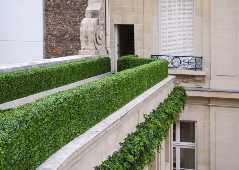 artificial buxus hedging used on rooftop in France