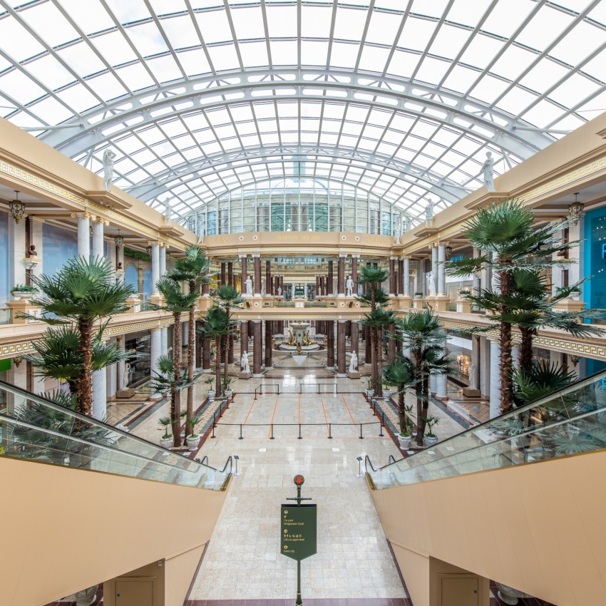 artificial palms displayed in shopping centre