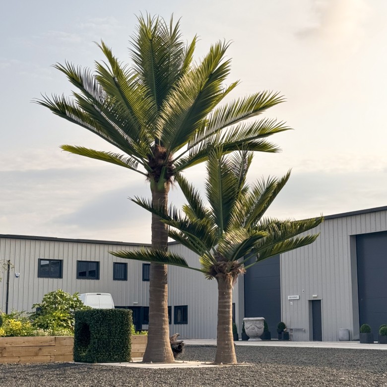 stunning artificial phenix palm tree displayed outdoors