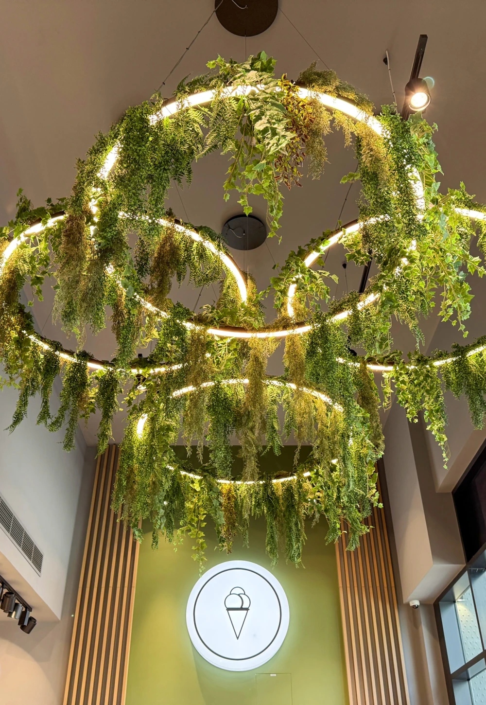 artificial hanging trails displayed in a cafe