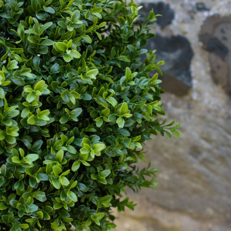 close up of artificial buxus ball