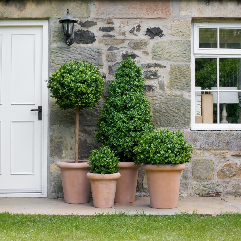 artificial topiary trees outside a door