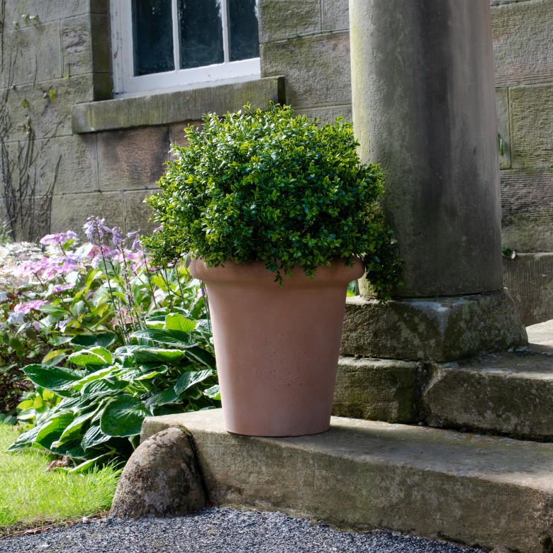 artificial topiary ball in pot