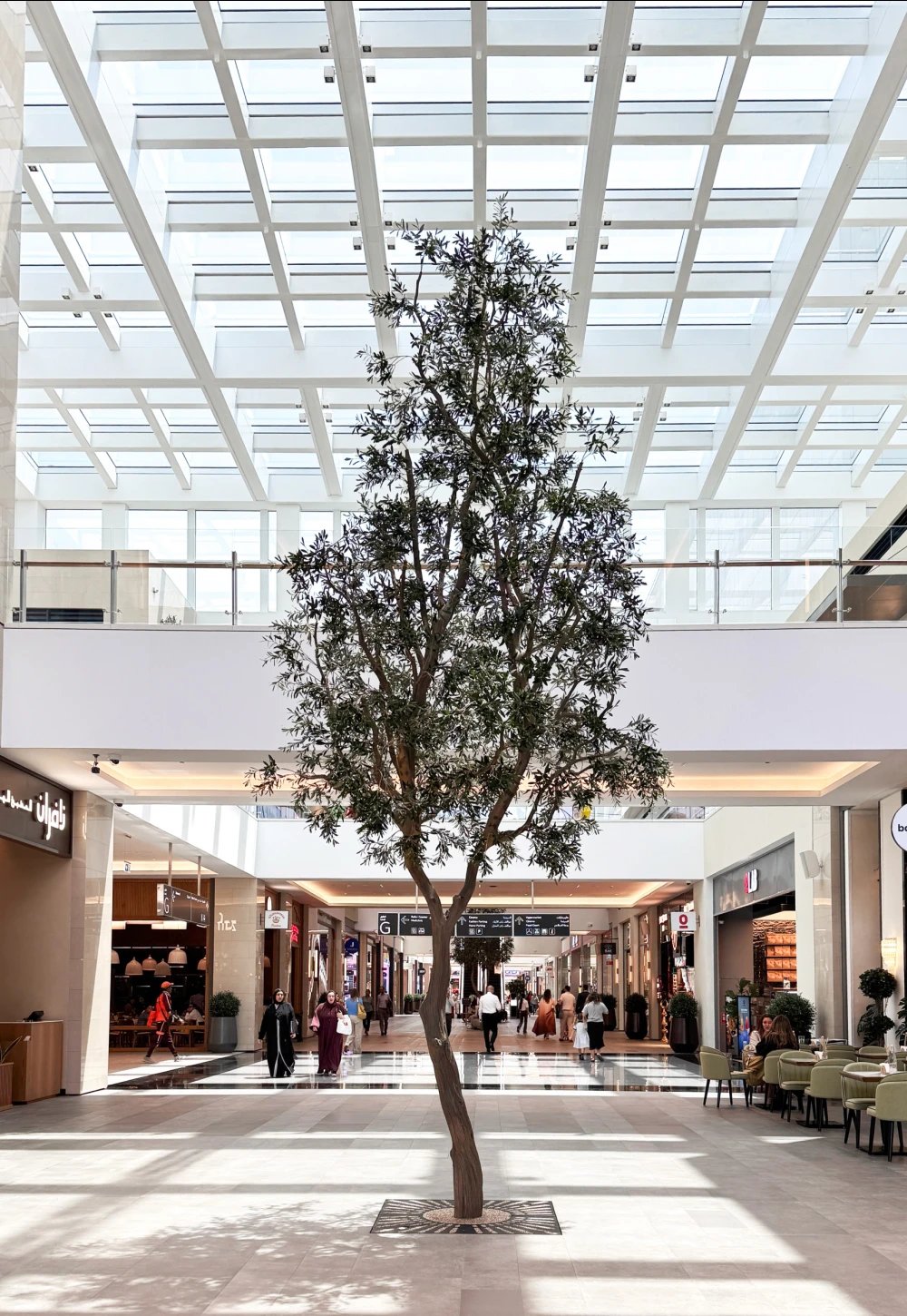 olive tree installed in Dubai Hills Mall