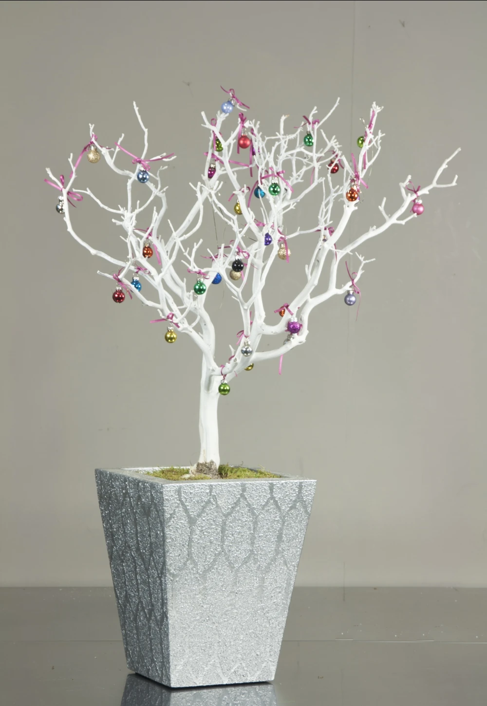 manzanita wood tree in plant pot