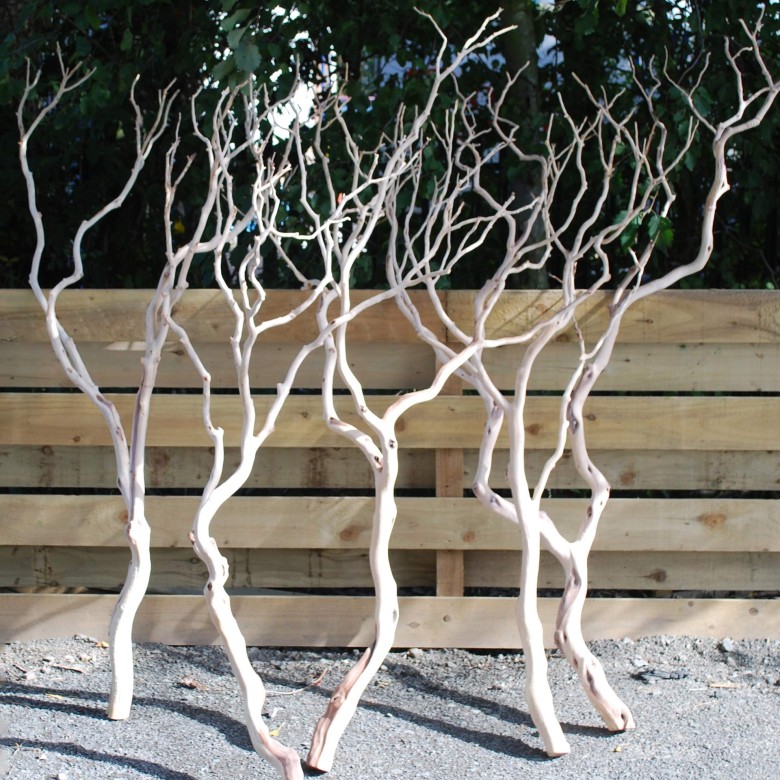 natural manzanita branches in front of a fence