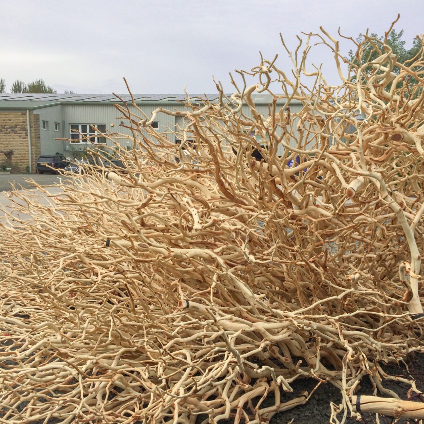 manzanita branches in pile