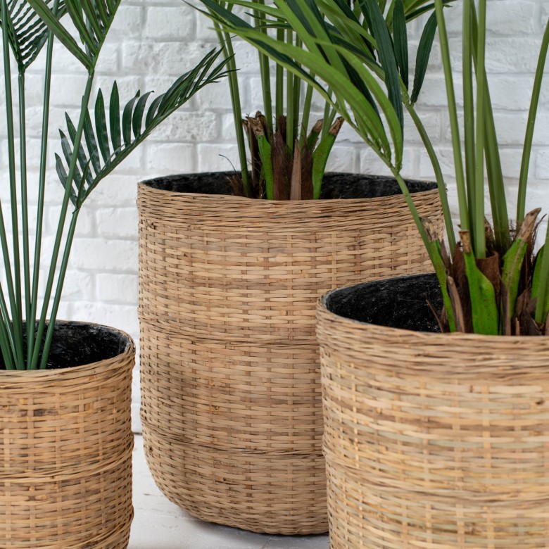 light brown bamboo plant pots