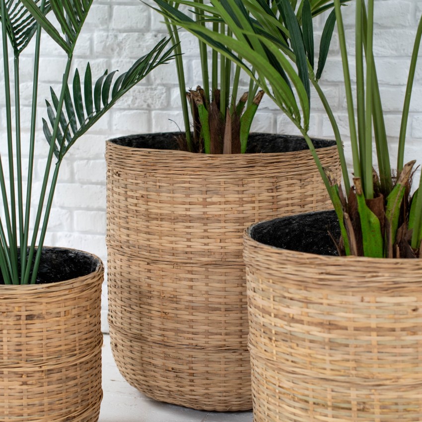 bamboo plant pots