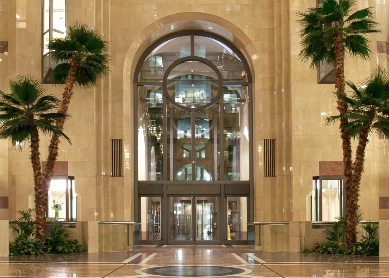 artificial palms displayed at building entrance