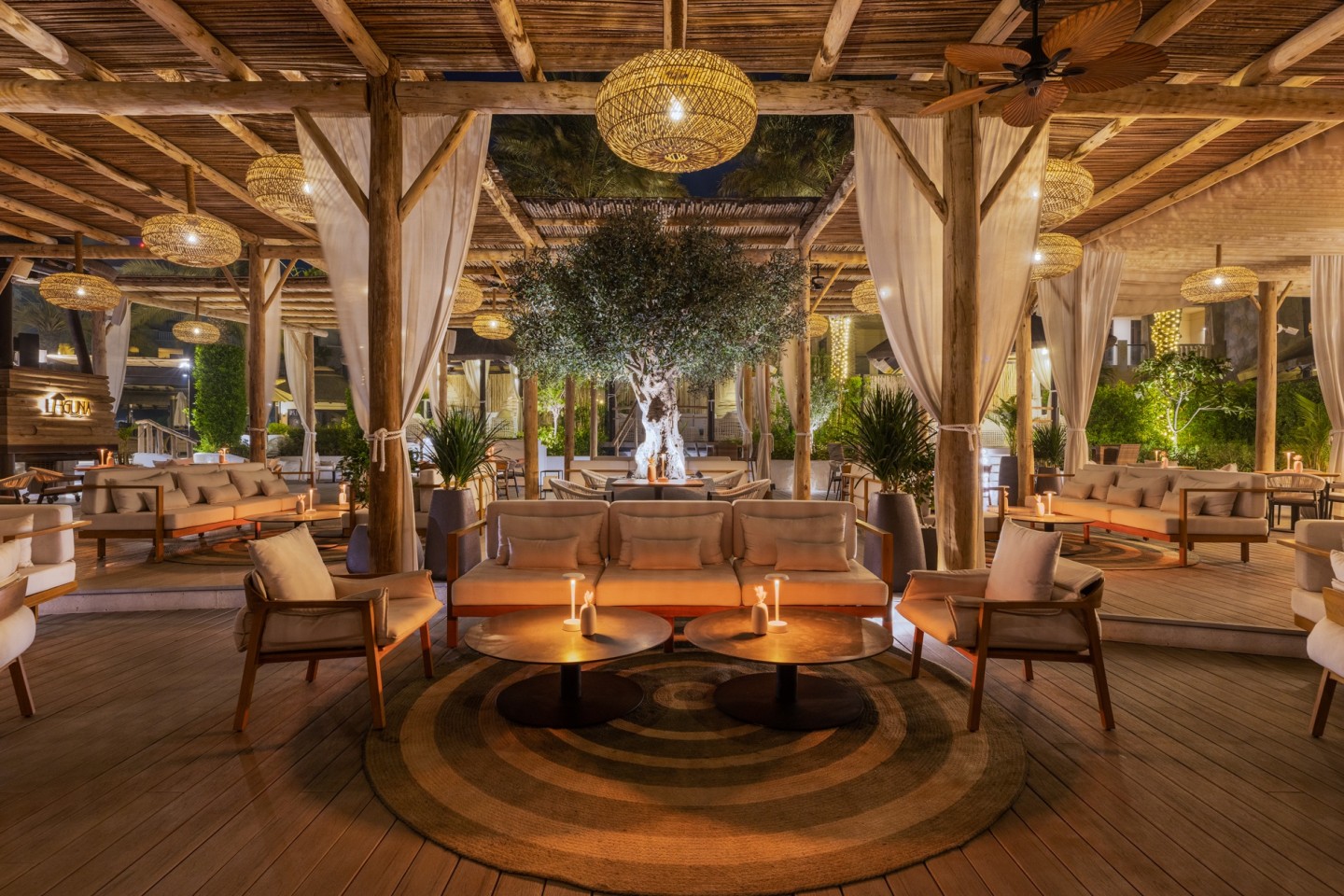 Olive tree installed at Laguna Beach Bar Dubai