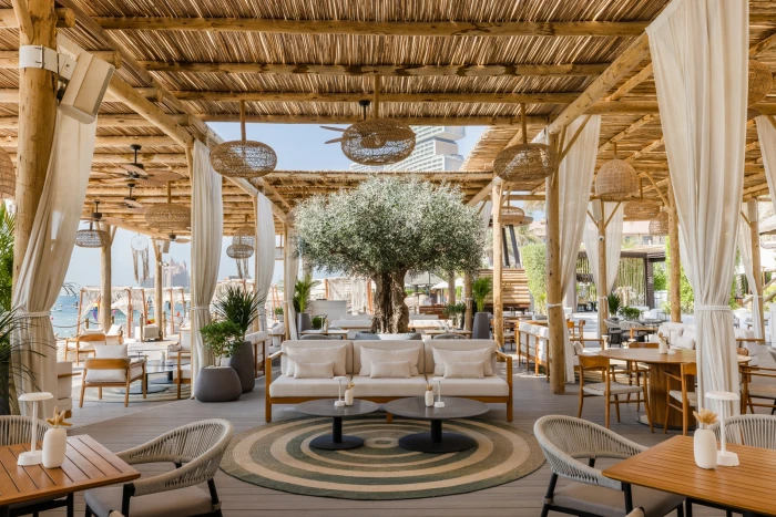 An olive tree installed at Laguna Beach Bar Dubai
