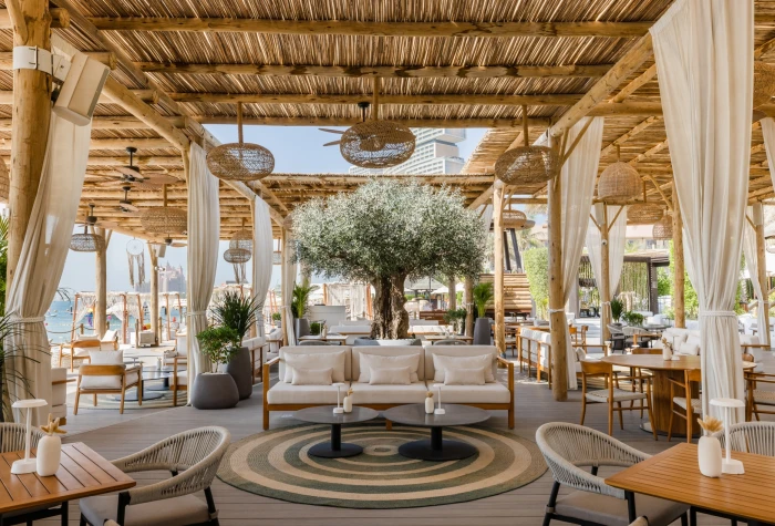 An olive tree installed at Laguna Beach Bar Dubai