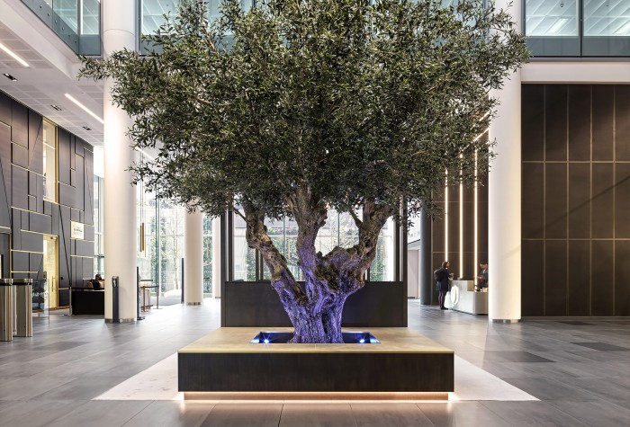 Un olivo artificial a medida situado en el interior de Three Snow Hill, Birmingham
