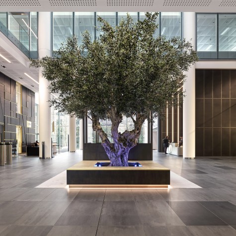 Un olivo artificial a medida situado en el interior de Three Snow Hill, Birmingham