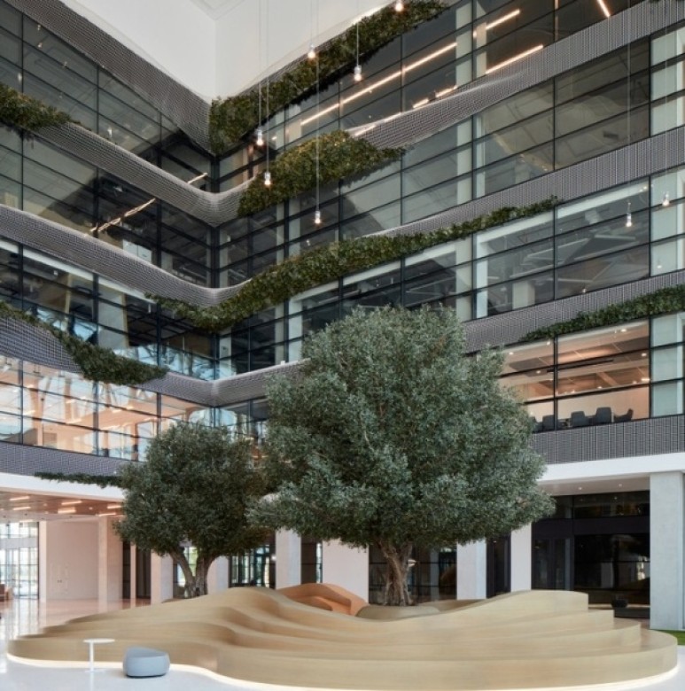 gran olivo artificial para interiores